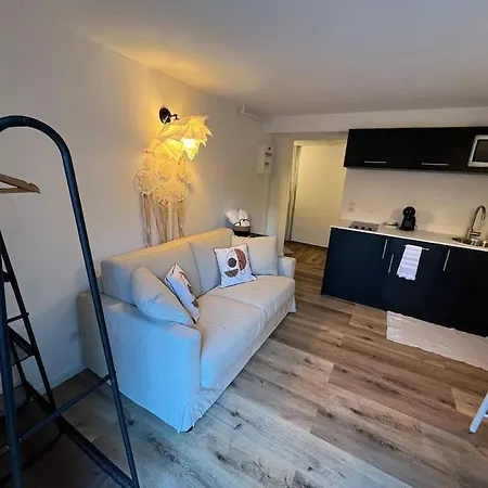 Apartment Avec Jardin Strasbourg