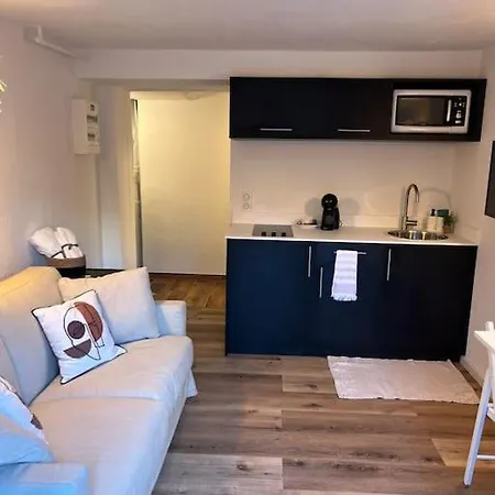 Avec Jardin Apartment *